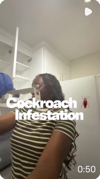 Reel about a cockroach infestation